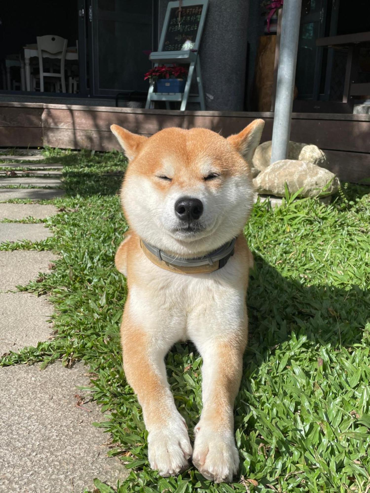 Chuxu Homestay Fanlu Dış mekan fotoğraf
